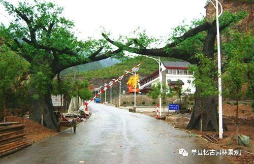 阜陽生態(tài)園大門制作價格解析 假山藝術與成本考量