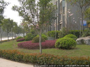 校園景觀集錦 從實景照片到設計施工圖紙的全景解析